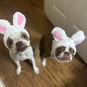 Fundraising Page: Momo Kalnay